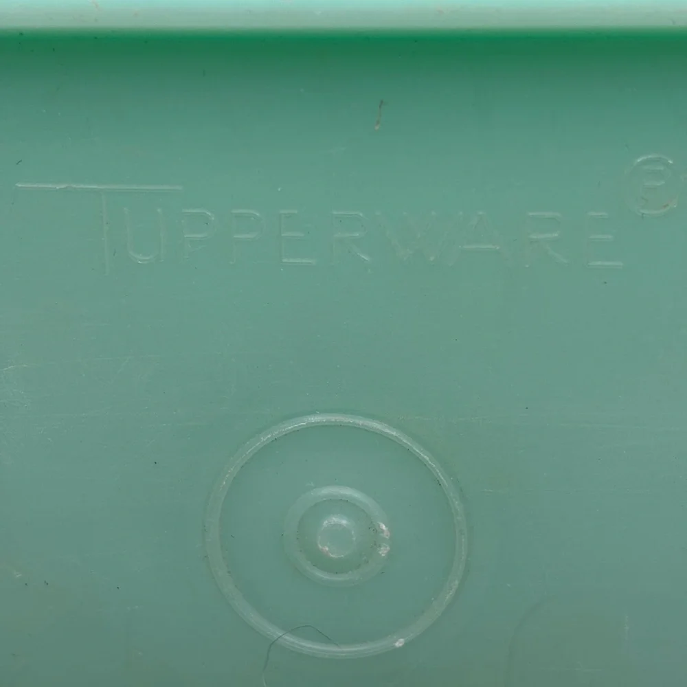 Tupperware Celery‎ Keeper Vintage Jadeite Green with lid that seals - no insert